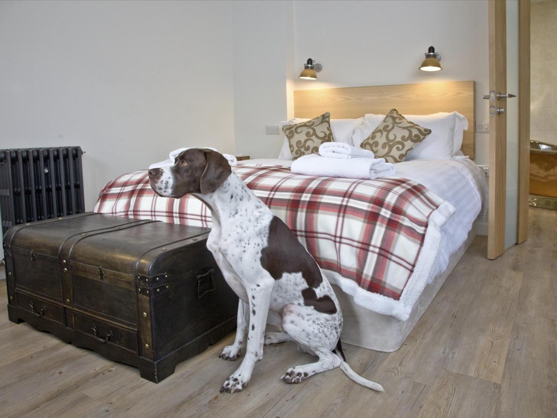 The Fortescue Inn Salcombe Room photo